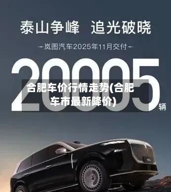 合肥车价行情走势(合肥车市最新降价)