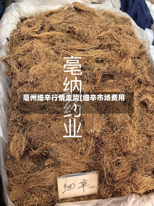毫州细辛行情走势(细辛市场费用)