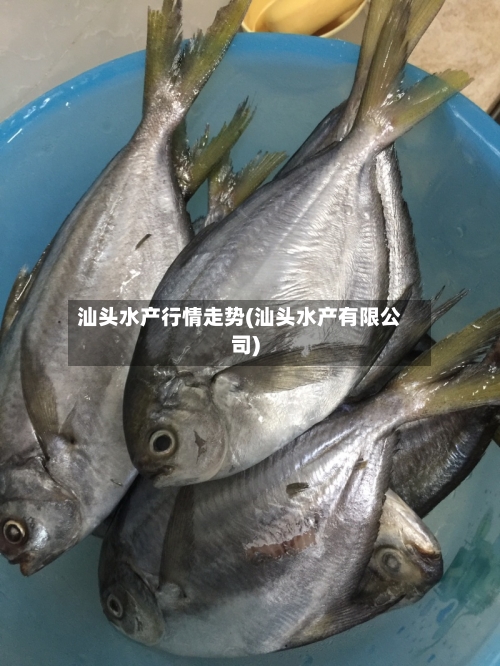 汕头水产行情走势(汕头水产有限公司)