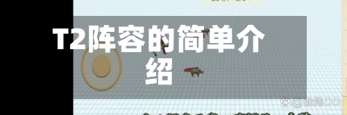 T2阵容的简单介绍