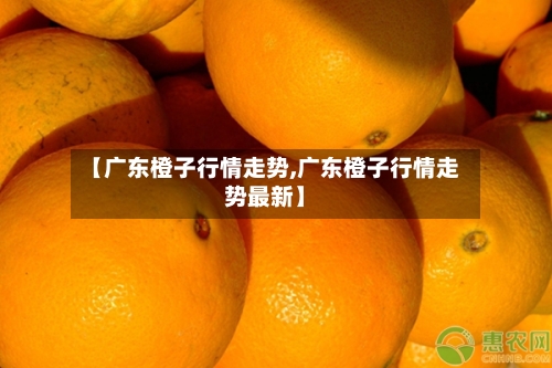 【广东橙子行情走势,广东橙子行情走势最新】