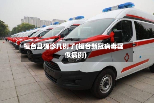桓台县确诊几例了(桓台新冠病毒疑似病例)-第2张图片