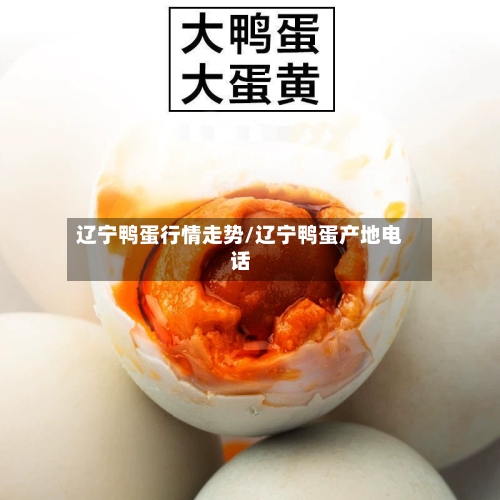 辽宁鸭蛋行情走势/辽宁鸭蛋产地电话-第2张图片