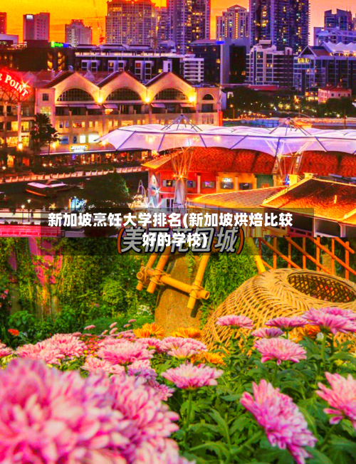 新加坡烹饪大学排名(新加坡烘焙比较好的学校)