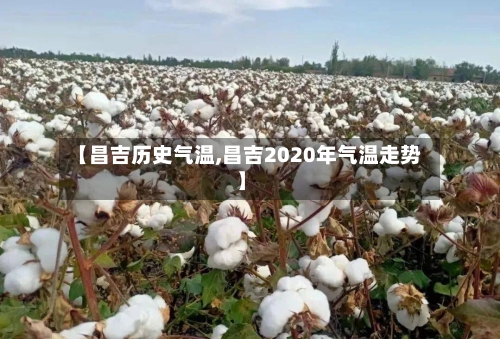 【昌吉历史气温,昌吉2020年气温走势】-第3张图片