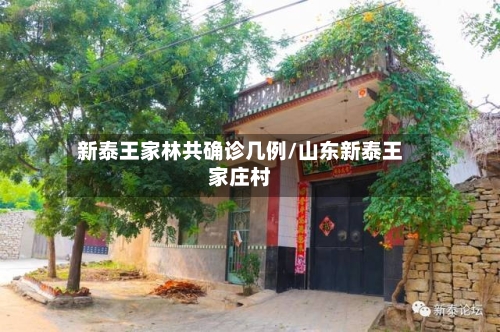 新泰王家林共确诊几例/山东新泰王家庄村