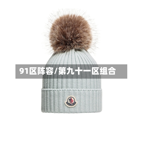 91区阵容/第九十一区组合-第3张图片