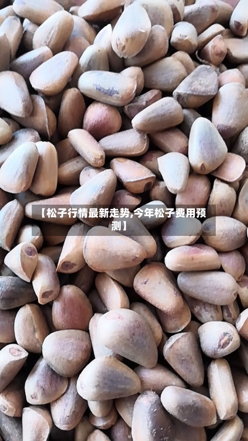 【松子行情最新走势,今年松子费用预测】