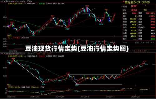 豆油现货行情走势(豆油行情走势图)