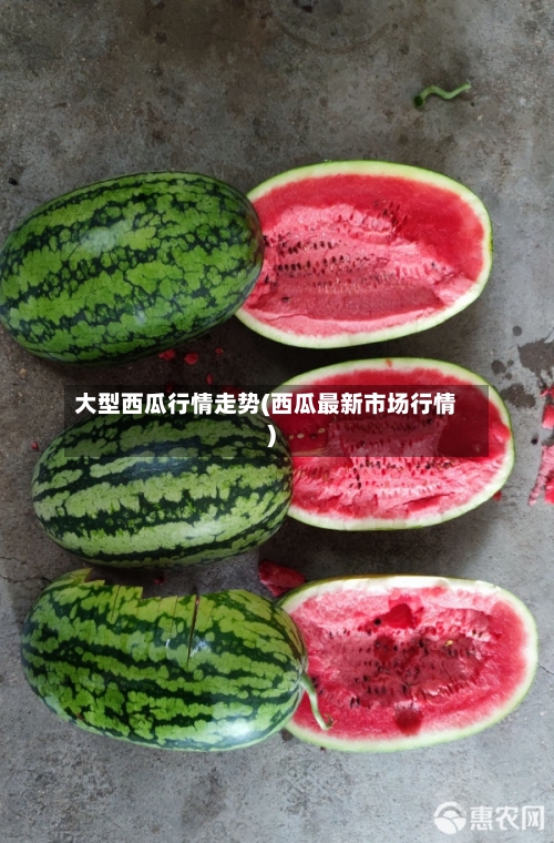 大型西瓜行情走势(西瓜最新市场行情)