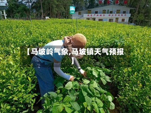 【马坡岭气象,马坡镇天气预报】