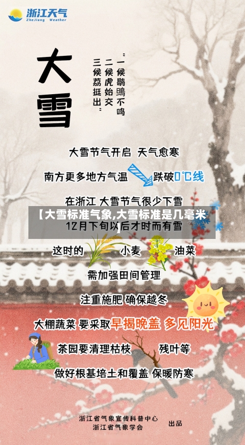 【大雪标准气象,大雪标准是几毫米】