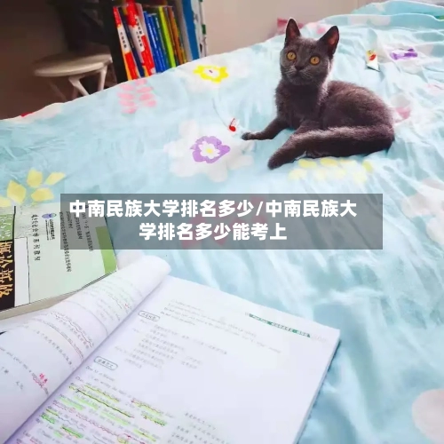 中南民族大学排名多少/中南民族大学排名多少能考上-第3张图片
