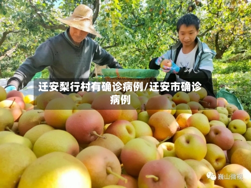 迁安梨行村有确诊病例/迁安市确诊病例