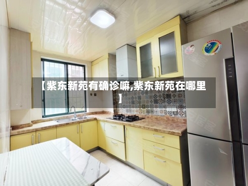 【紫东新苑有确诊嘛,紫东新苑在哪里】-第2张图片