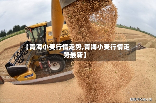 【青海小麦行情走势,青海小麦行情走势最新】