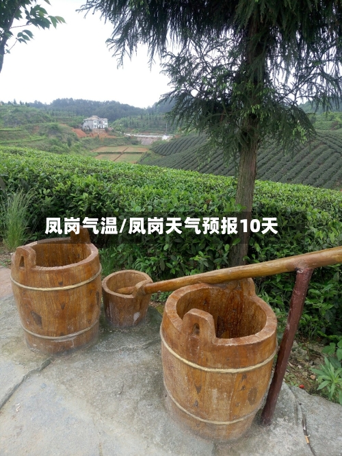 凤岗气温/凤岗天气预报10天-第1张图片