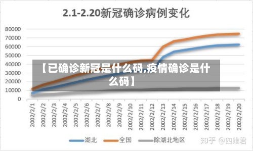【已确诊新冠是什么码,疫情确诊是什么码】-第3张图片