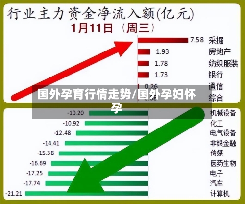 国外孕育行情走势/国外孕妇怀孕-第2张图片