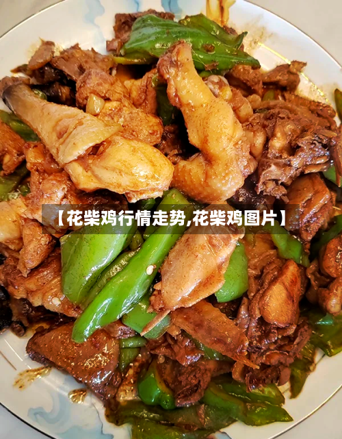 【花柴鸡行情走势,花柴鸡图片】