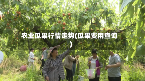 农业瓜果行情走势(瓜果费用查询)