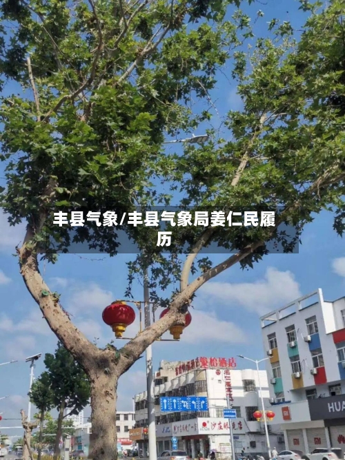 丰县气象/丰县气象局姜仁民履历-第2张图片