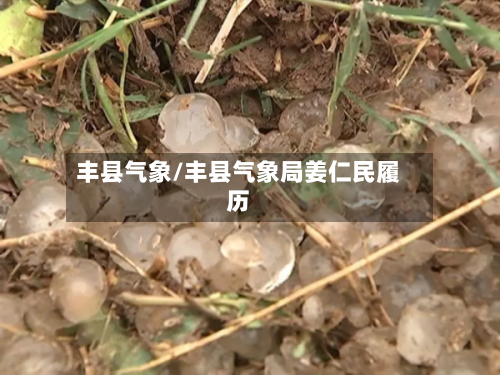 丰县气象/丰县气象局姜仁民履历