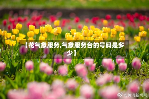 【花气象服务,气象服务台的号码是多少】