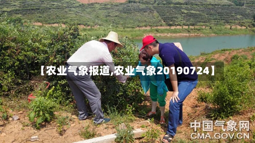 【农业气象报道,农业气象20190724】-第2张图片