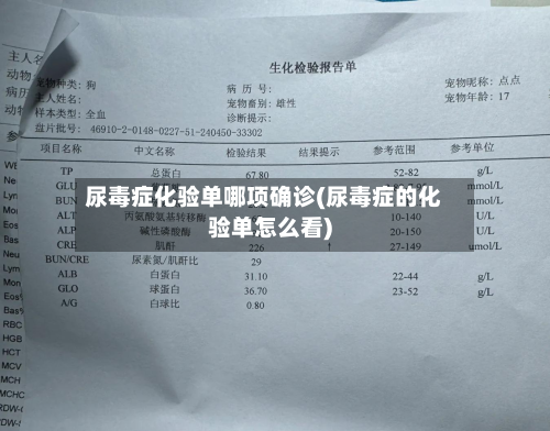 尿毒症化验单哪项确诊(尿毒症的化验单怎么看)-第2张图片