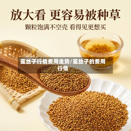 菟丝子行情费用走势/菟丝子的费用行情-第3张图片