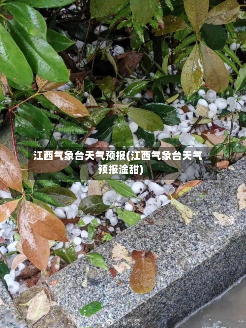 江西气象台天气预报(江西气象台天气预报淦甜)