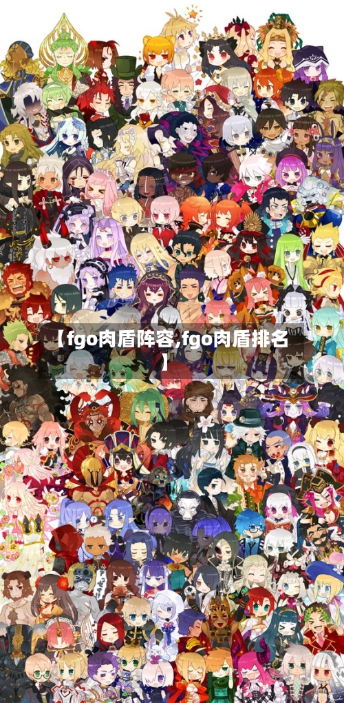 【fgo肉盾阵容,fgo肉盾排名】