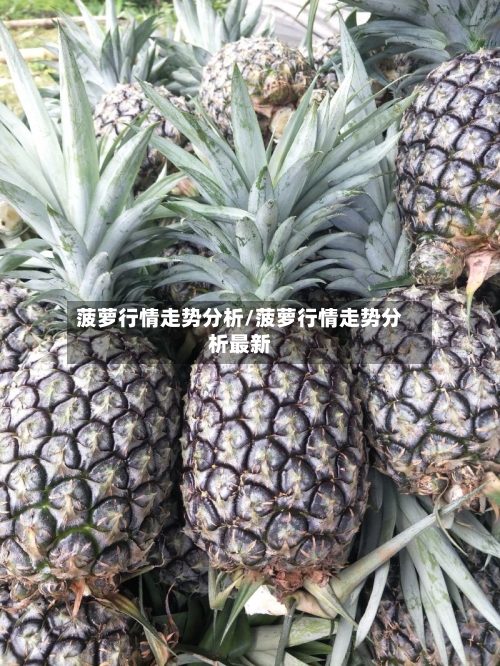 菠萝行情走势分析/菠萝行情走势分析最新-第2张图片