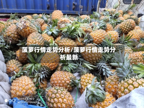 菠萝行情走势分析/菠萝行情走势分析最新