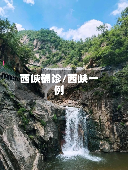 西峡确诊/西峡一例