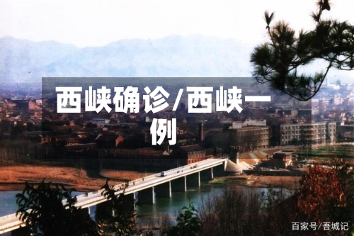 西峡确诊/西峡一例-第3张图片