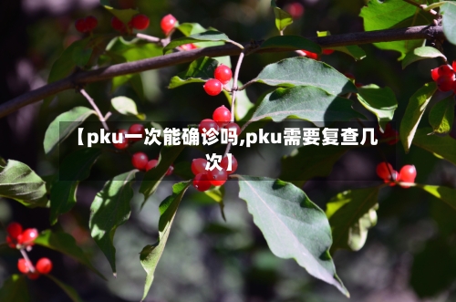 【pku一次能确诊吗,pku需要复查几次】