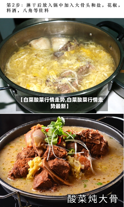 【白菜酸菜行情走势,白菜酸菜行情走势最新】