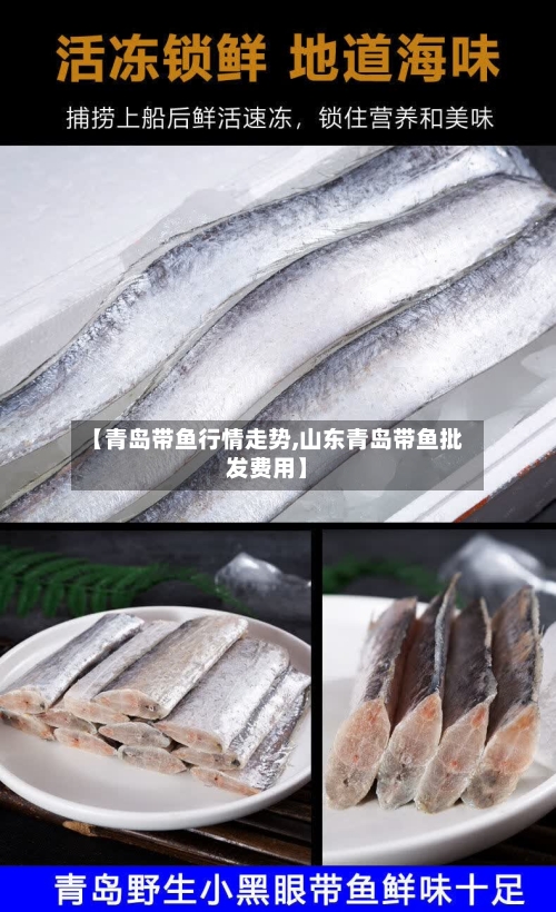 【青岛带鱼行情走势,山东青岛带鱼批发费用】-第2张图片