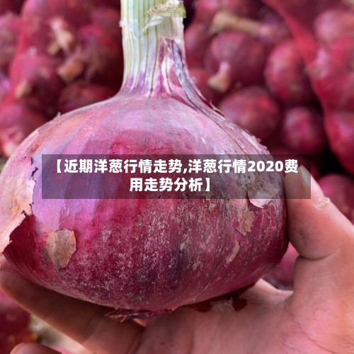 【近期洋葱行情走势,洋葱行情2020费用走势分析】