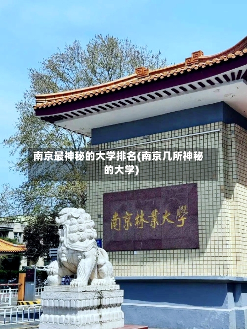 南京最神秘的大学排名(南京几所神秘的大学)-第2张图片