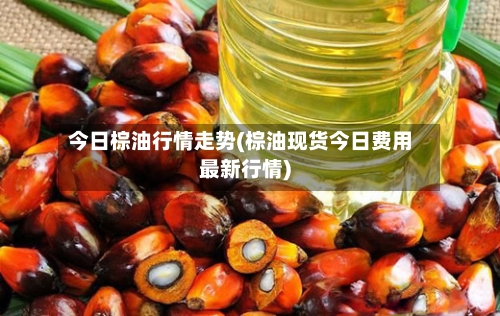 今日棕油行情走势(棕油现货今日费用最新行情)-第2张图片