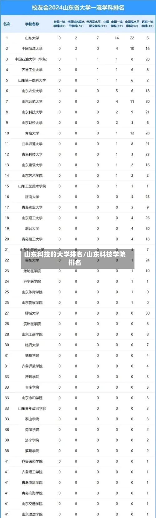 山东科技的大学排名/山东科技学院排名-第3张图片