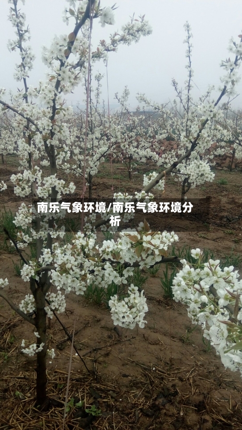 南乐气象环境/南乐气象环境分析-第2张图片