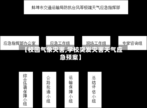 【校园气象灾害,学校突发灾害天气应急预案】