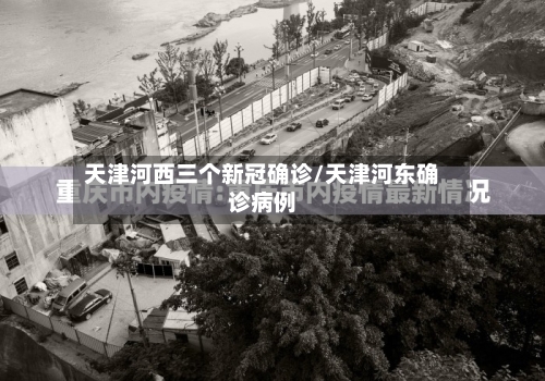 天津河西三个新冠确诊/天津河东确诊病例
