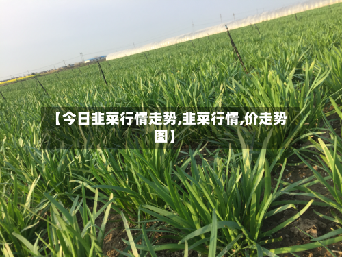 【今日韭菜行情走势,韭菜行情,价走势图】