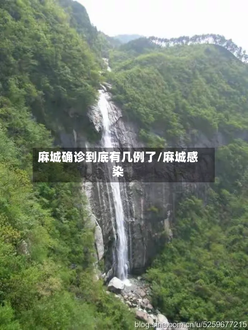 麻城确诊到底有几例了/麻城感染