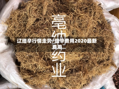 辽细辛行情走势/细辛费用2020最新费用-第3张图片